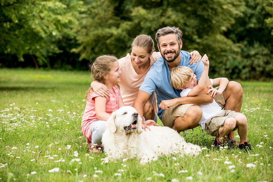 Best Family Dentist in San Jose, California